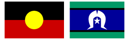 NDIS people represents flags